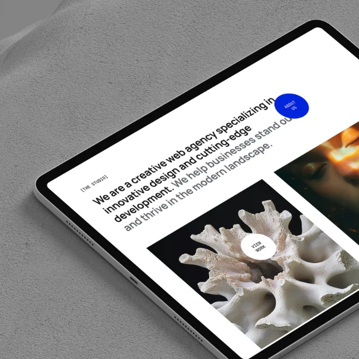 Digitanomics LLP Template Image Example