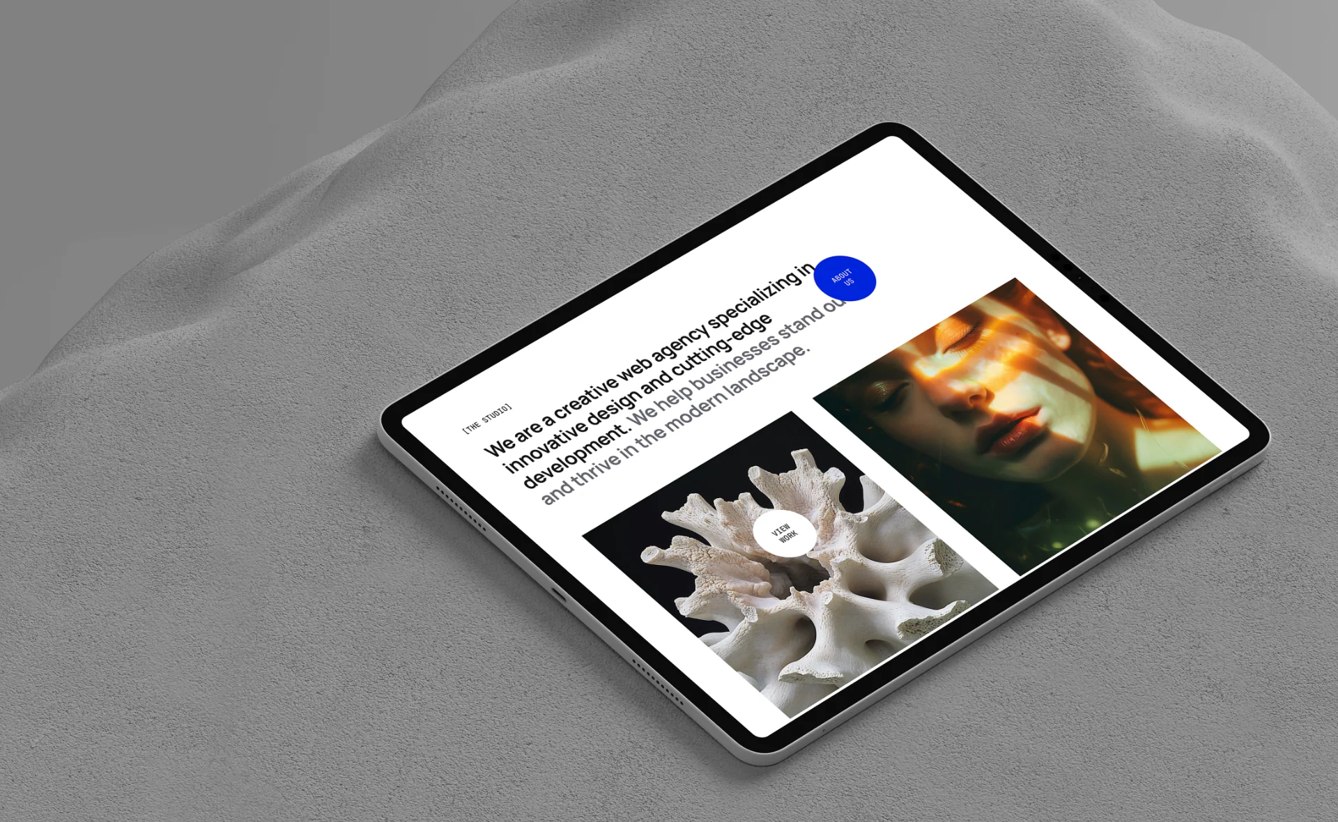 Project Preview Image